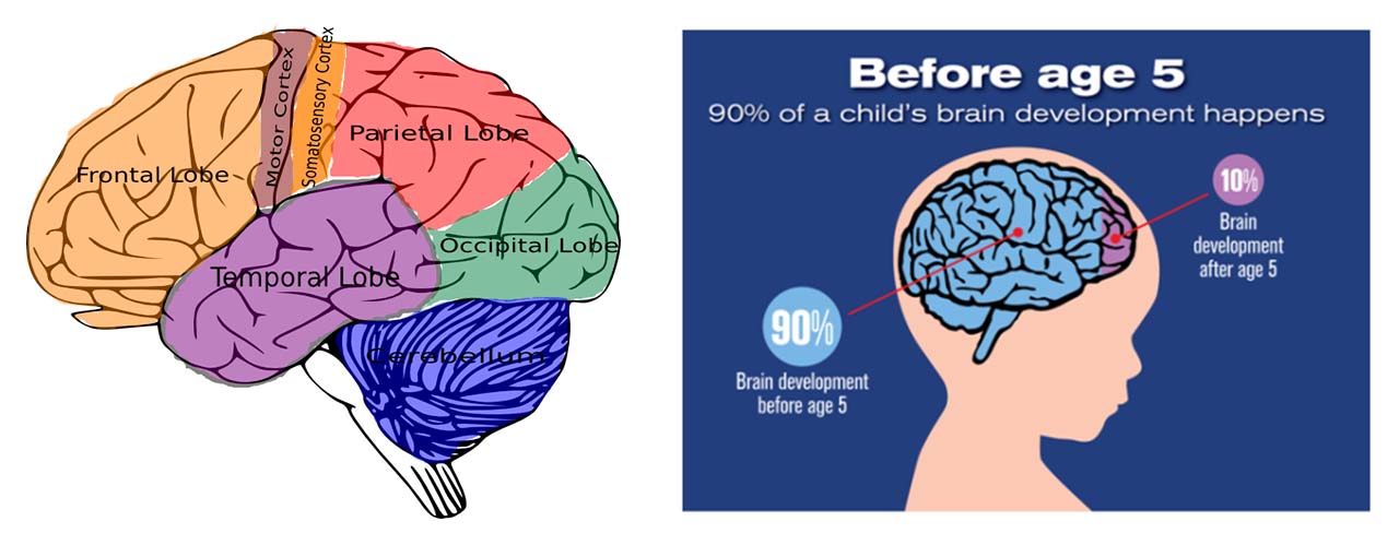 How To Encourage A Child s Brain Development ECWA USA